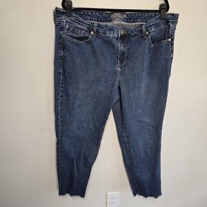 Torrid Vintage Stretch Jeans